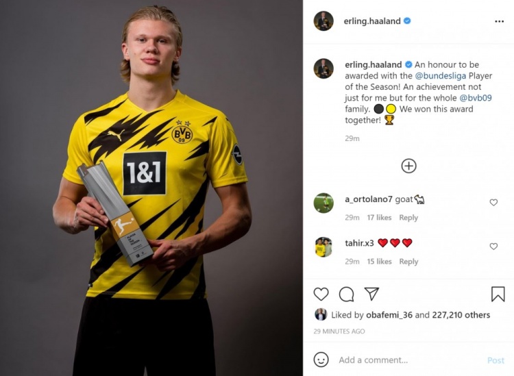 是对细节的 是对细节的